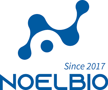 노엘바이오 대표 이현진 올림